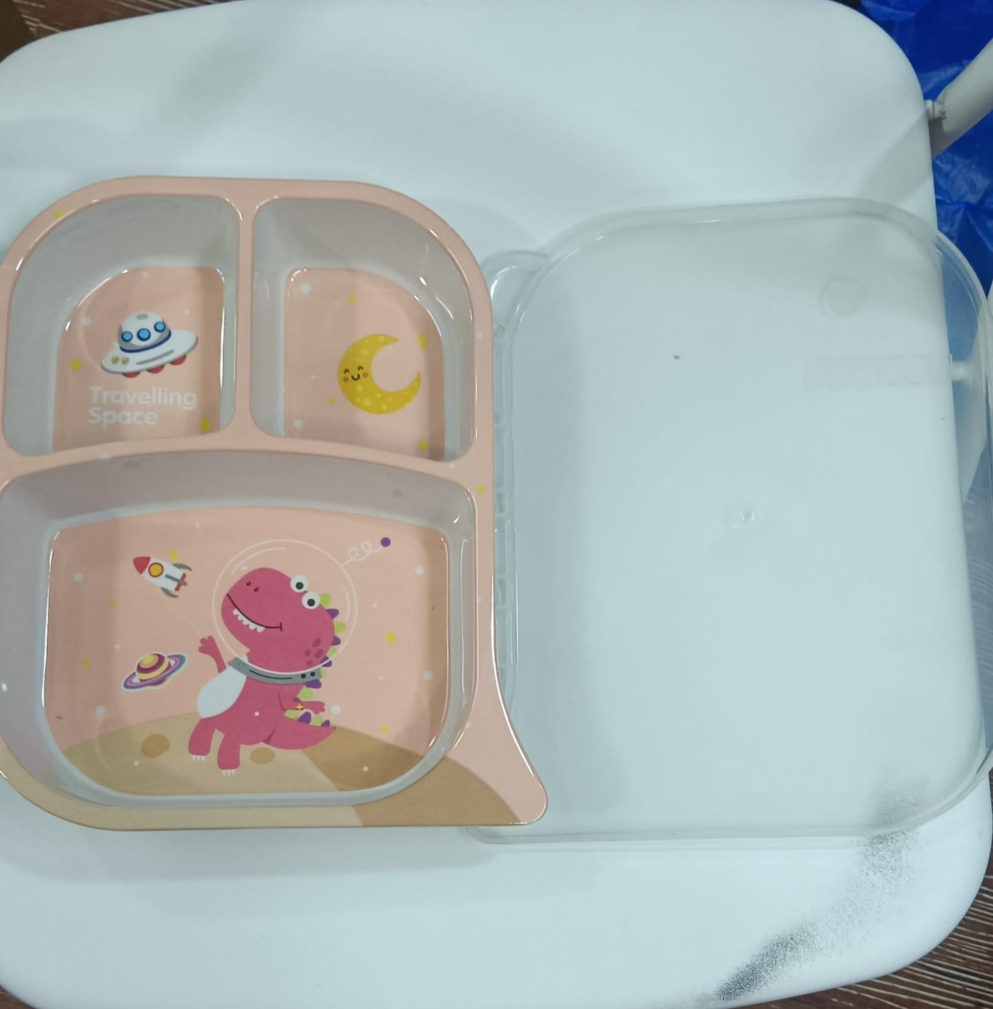dinosaur plate