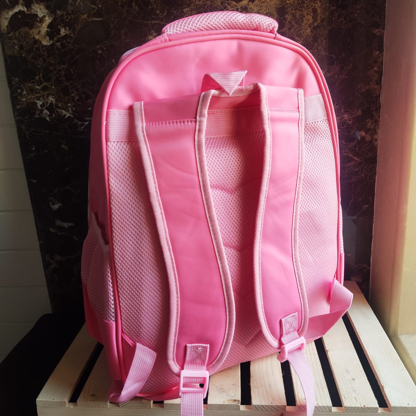 Frozen Hardshell Backpack