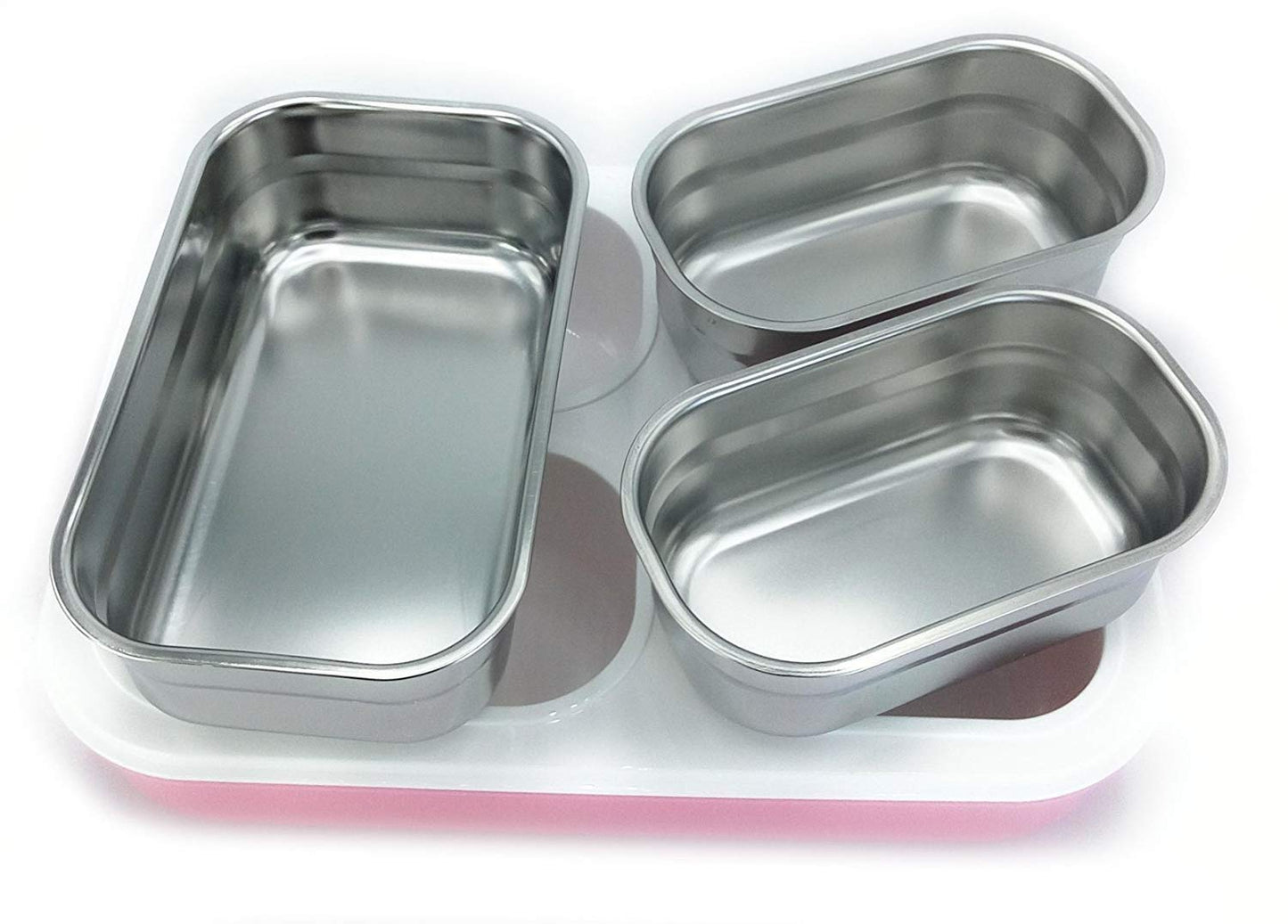 Tedemei Plastic & Stainless Steel Lunch Box/Tiffin Box - Leak Proof, Blue, 1.2 L